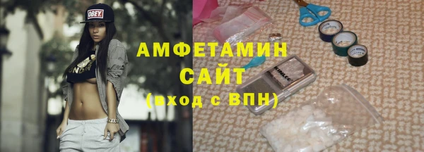 сатива Бородино