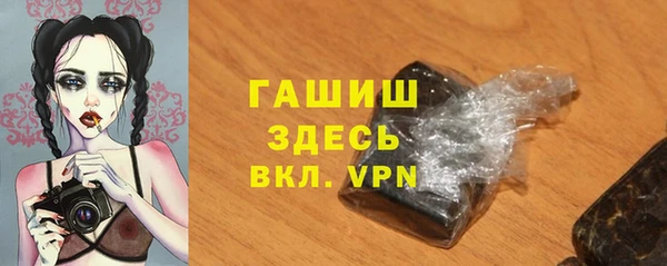 сатива Бородино