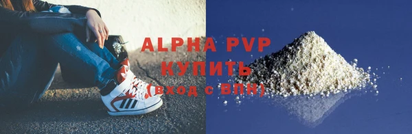 сатива Бородино