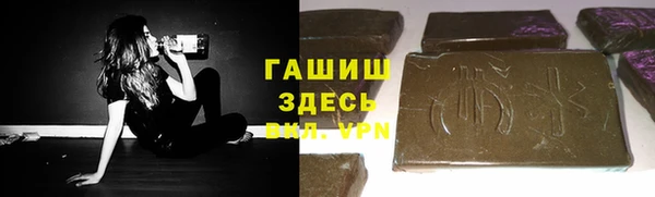сатива Бородино