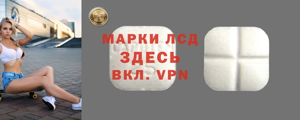 сатива Бородино