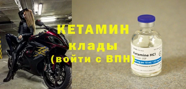 сатива Бородино