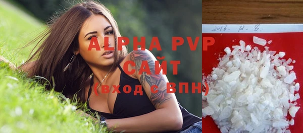 сатива Бородино
