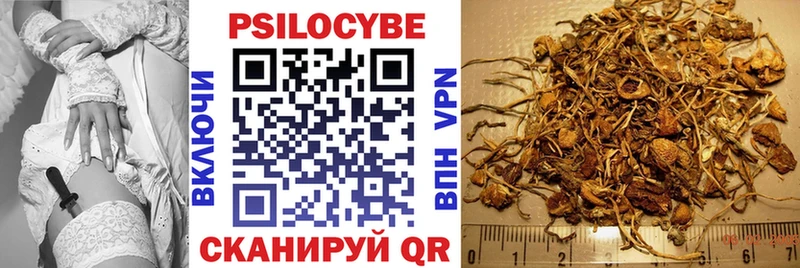 Псилоцибиновые грибы GOLDEN TEACHER  Тольятти 